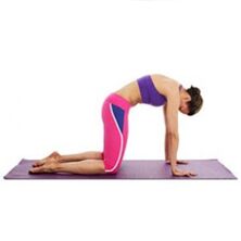 Fisioterapia e exercicios para osteocondrose